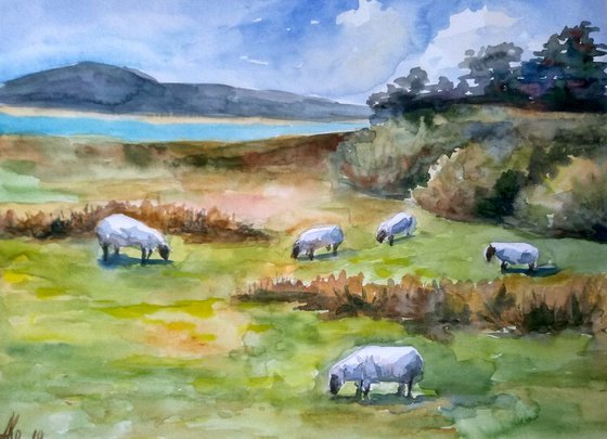 Scottish landscape with sheep