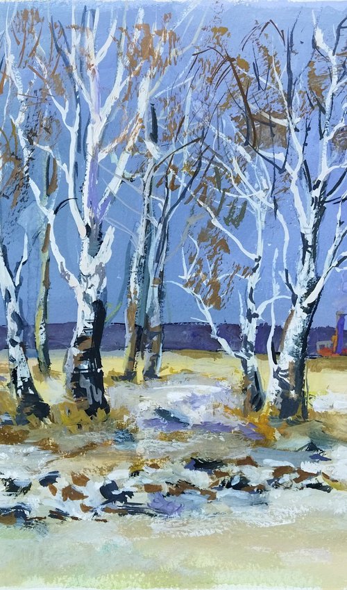 Birches by Ann Krasikova