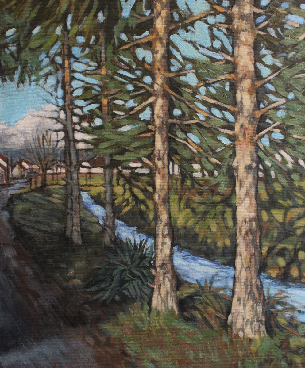 Pine trees by the stream by Joanna Plenzler
