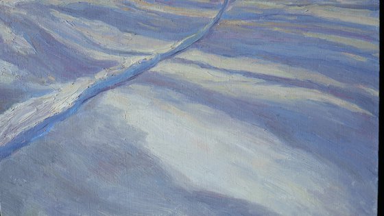 The Sunny Winter Scene