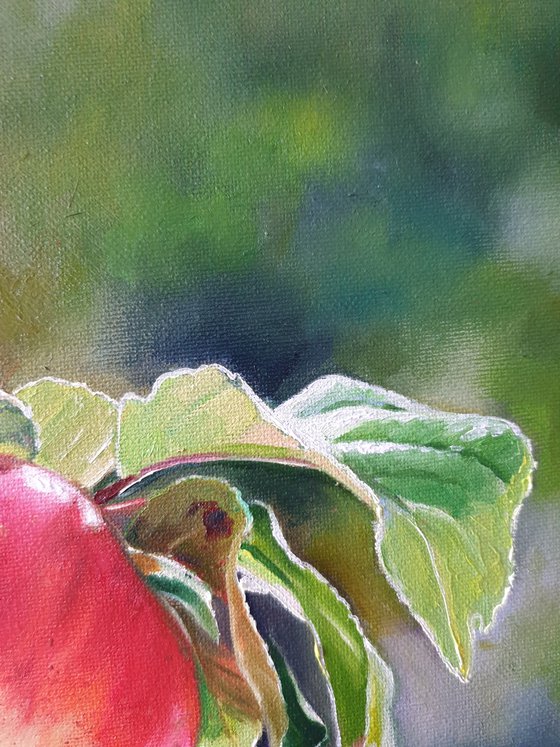 "An apple from grandmother's garden.  "  flower  liGHt original painting  GIFT (2021)