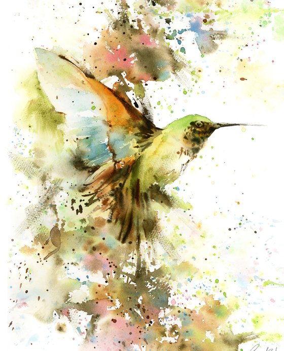 Hummingbird