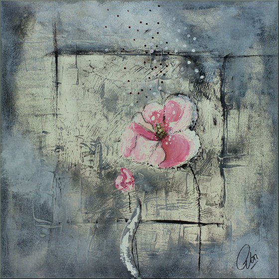 Papaver Dreams