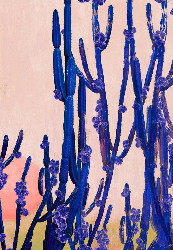 Cactus Valley