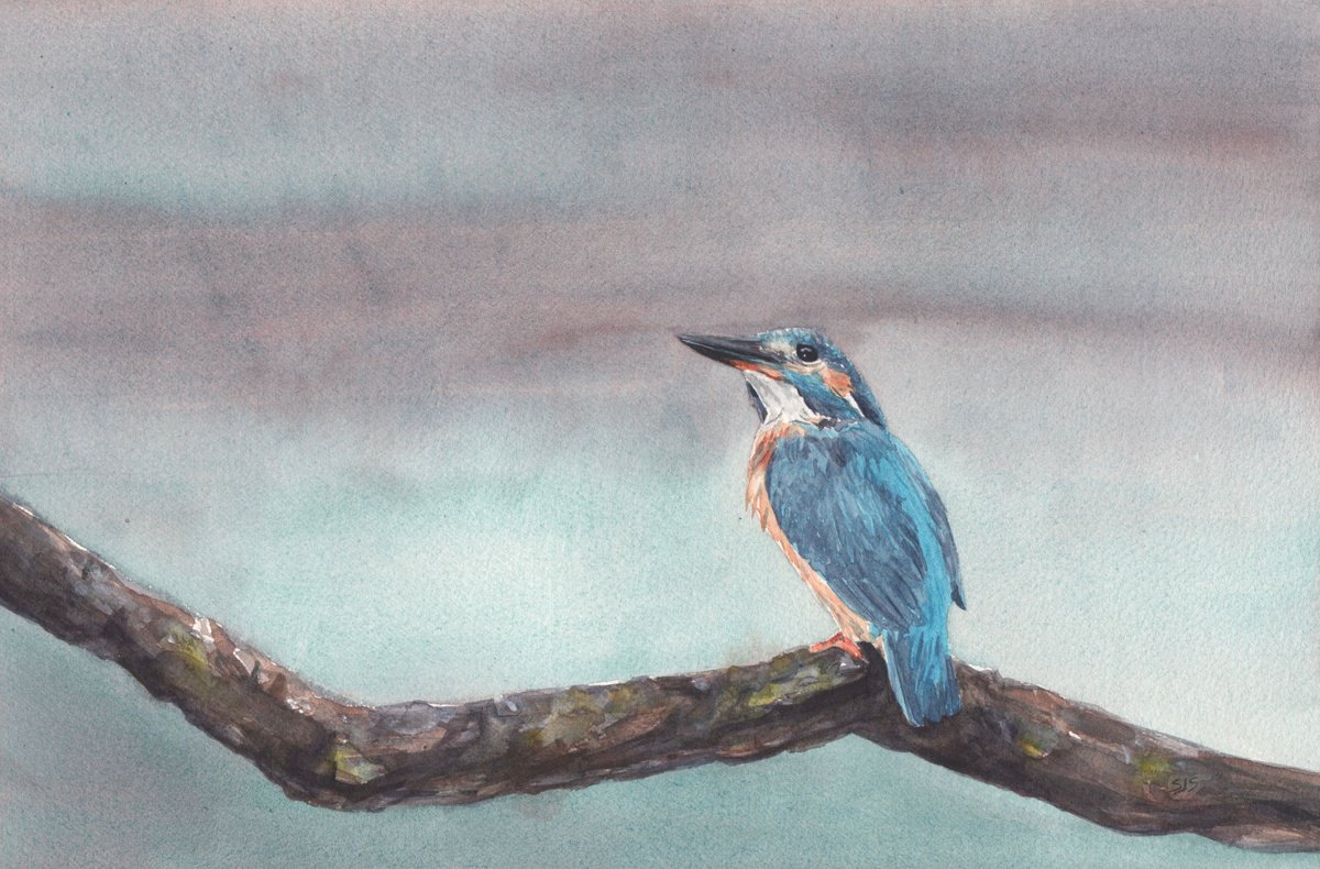 Photorealistic Animal Watercolour By Sarah Stowe, 13 X 9", Kingfisher Blues, Original Artwork