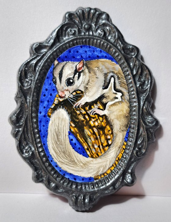 Sugar glider