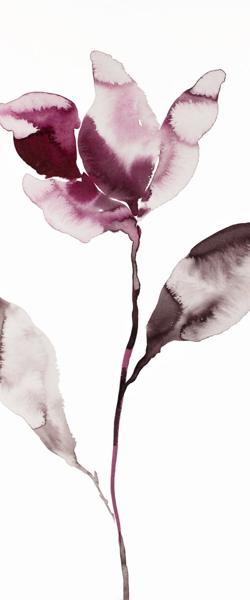 Magnolia No. 45 by Elizabeth Becker