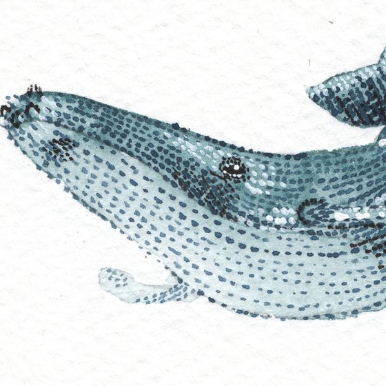 Original Humpback Whale 4.1 x 5.8 inch