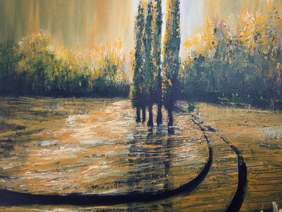 Autumn Illuminations