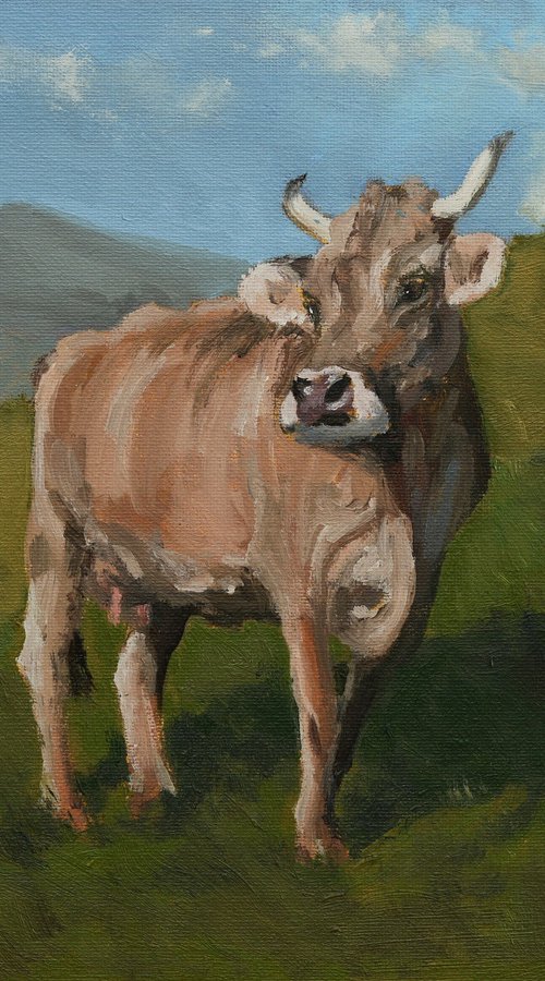 Swiss Brown Cow on hillside by Tom Clay
