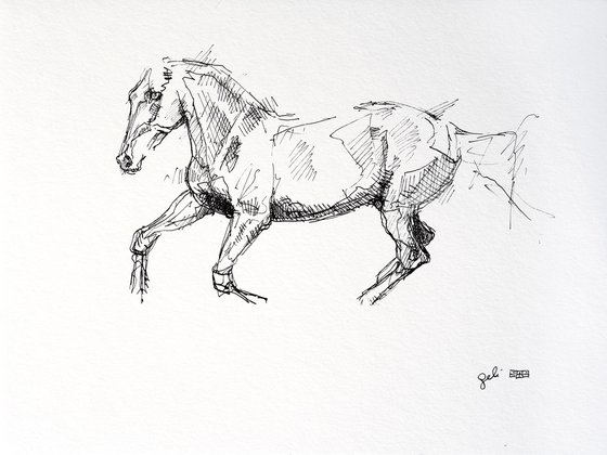 Equine Nude 24a