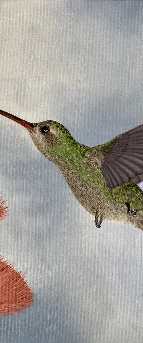 Hummingbird by Olya Lane