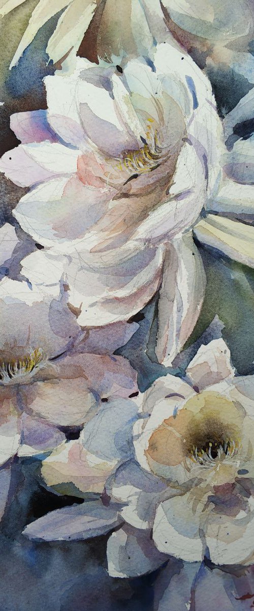 Blossom 22 by Jing Chen
