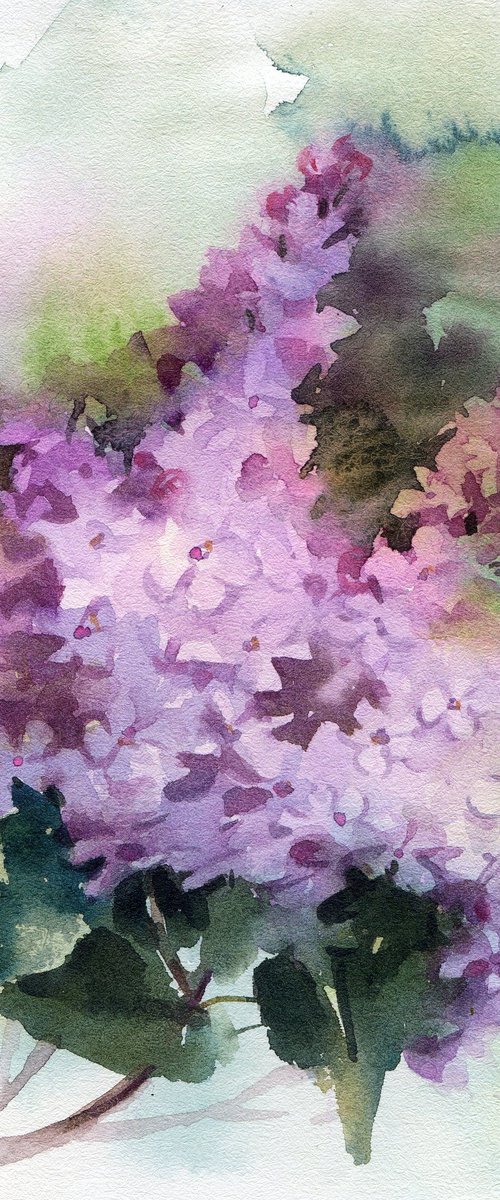 Spring blossom, Lilac in watercolor by Yulia Evsyukova