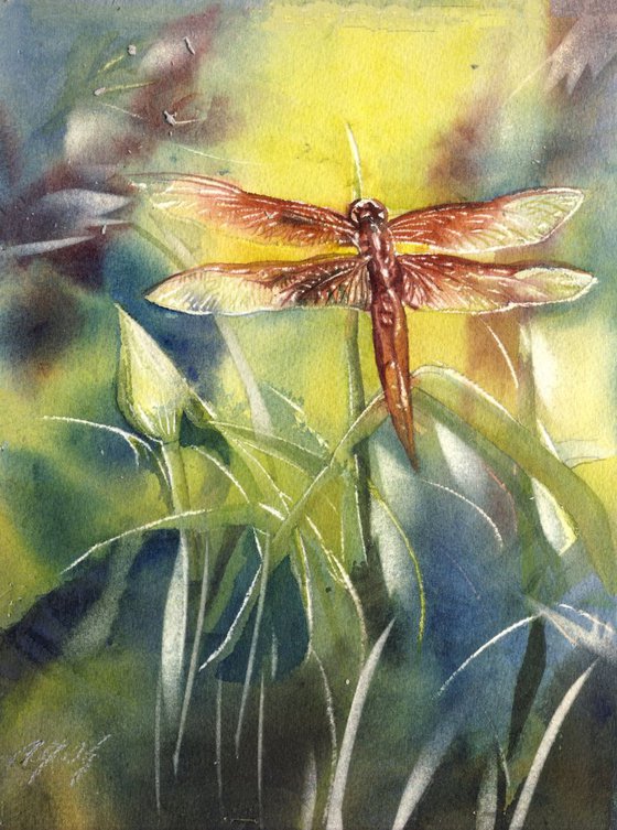 red dragonfly Watercolour by Alfred Ng | Artfinder