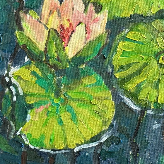 Water lilies