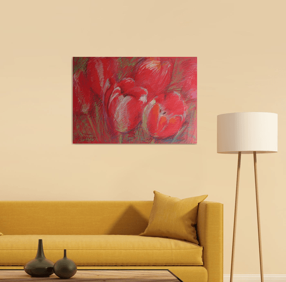 Tulips Red