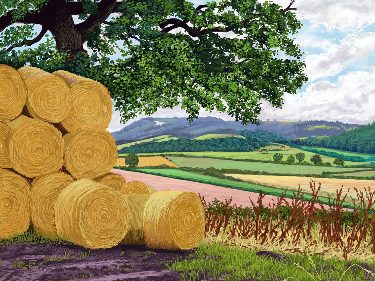 Straw Bales, Newburgh, North Yorkshire by Jeff Parker