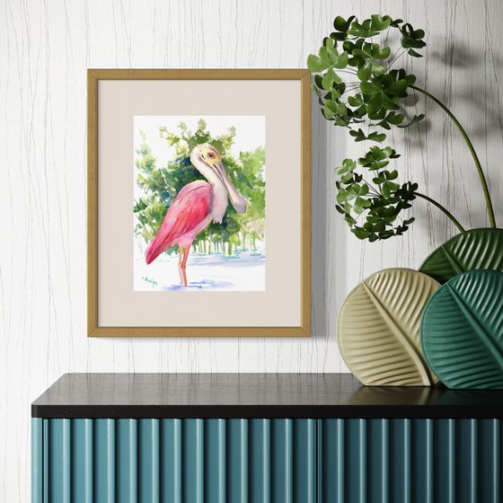 Roseate Spoonbill