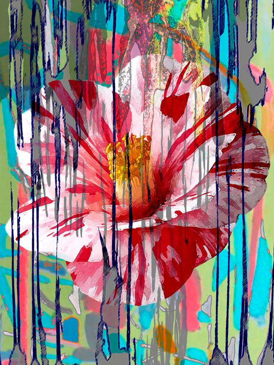 Abstract Flowers 5