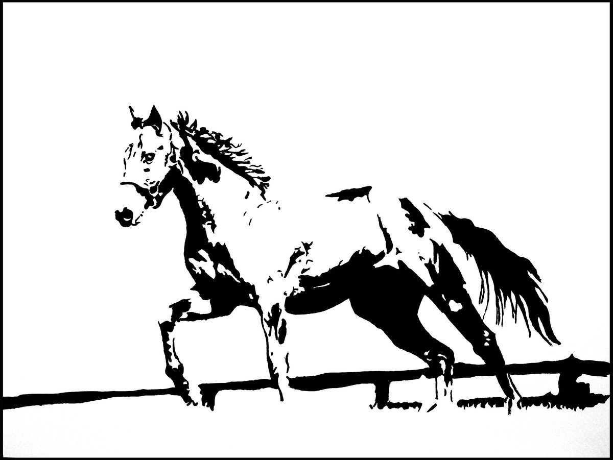Simona Tsvetkova | Original  Drawing | Black And White 10-54 | 60 X 45Cm | Artwork For Sale On Artfinder