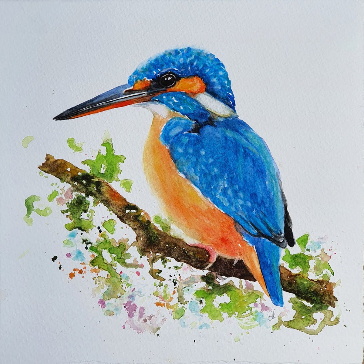 Kingfisher In Watercolour by Denise Laurent
