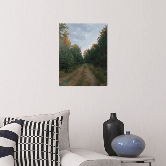 Road in the forest