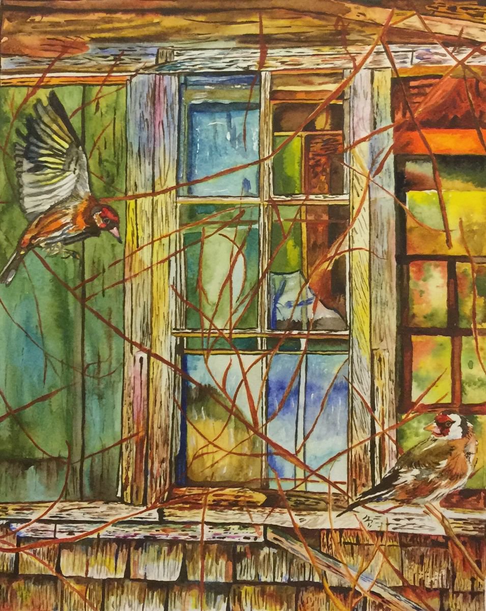 Goldfinches at the broken window by Nicky Campbell