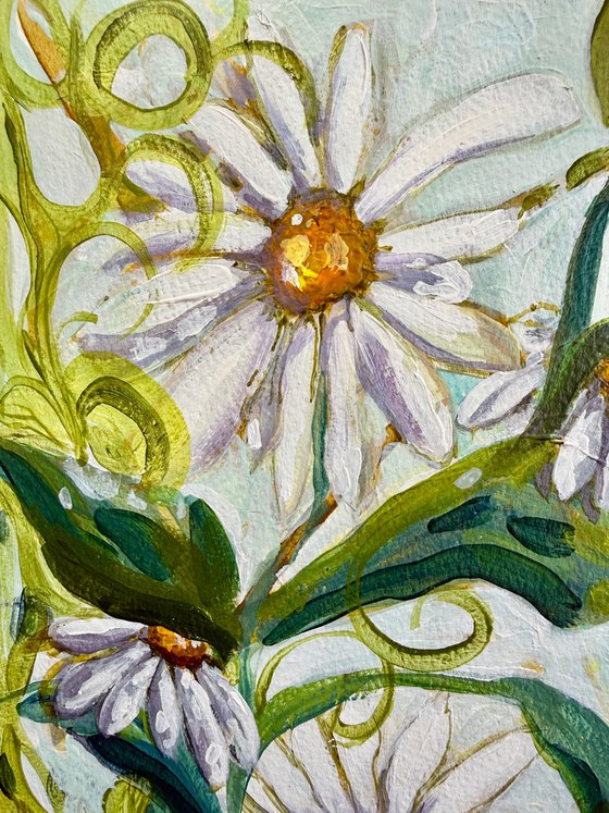 Daisies