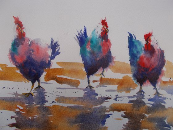 roosters and hens 4