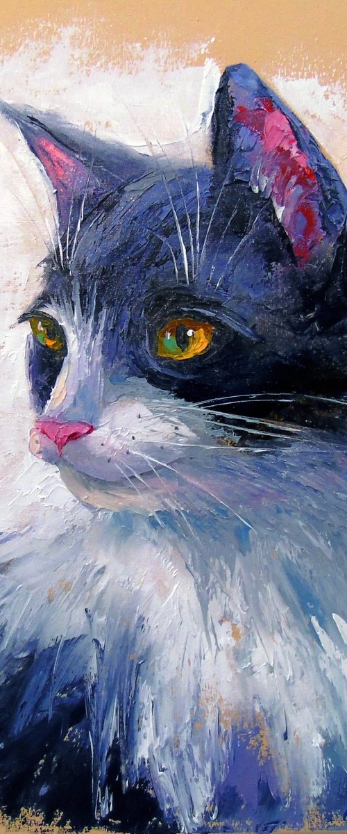 My favorite cat by Olha Darchuk