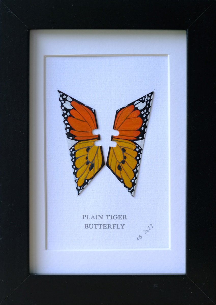 Plain Tiger butterfly by Lene Bladbjerg