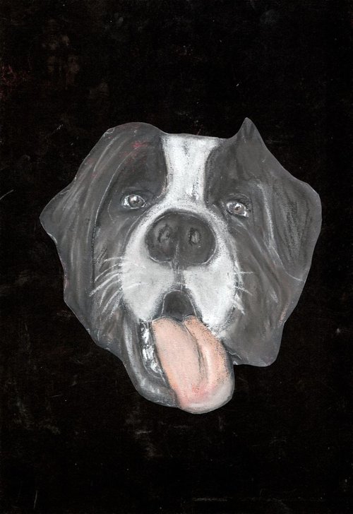 Saint Bernard dog by Pavel Kuragin