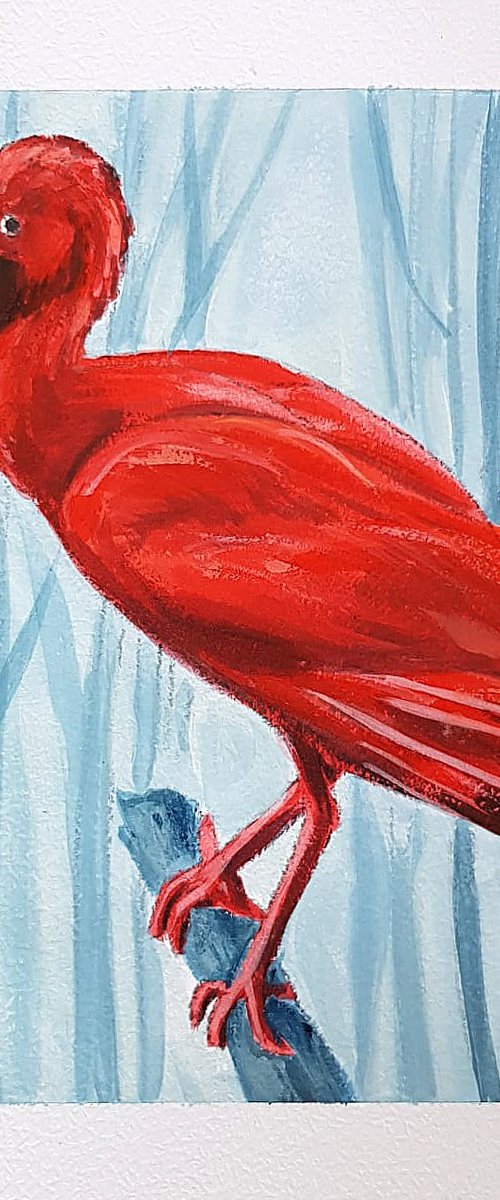 Scarlet Ibis sitting by Daria Startseva