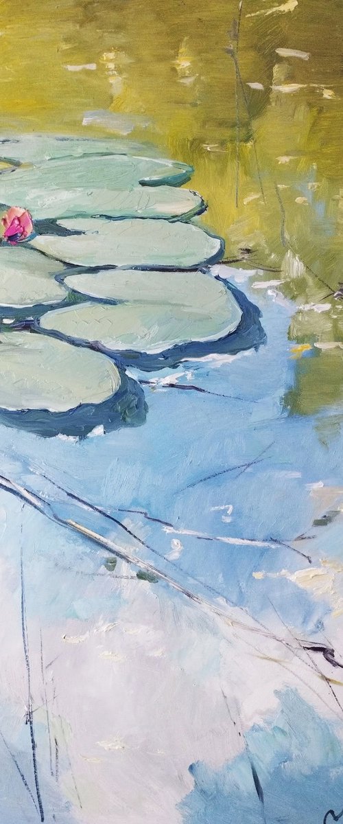 Morning at the lily pond by Natali Oniks (Onikiienko)