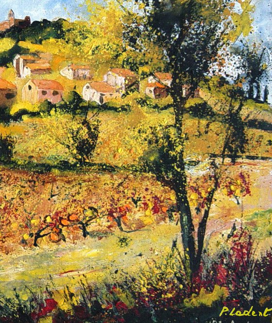 Vineyards in rasteau Provence