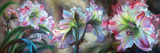 Pink Amaryllis Triptych