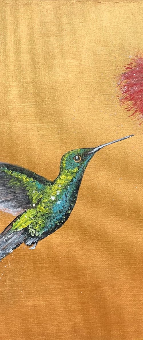 Green Throated Carib by Laure Bury