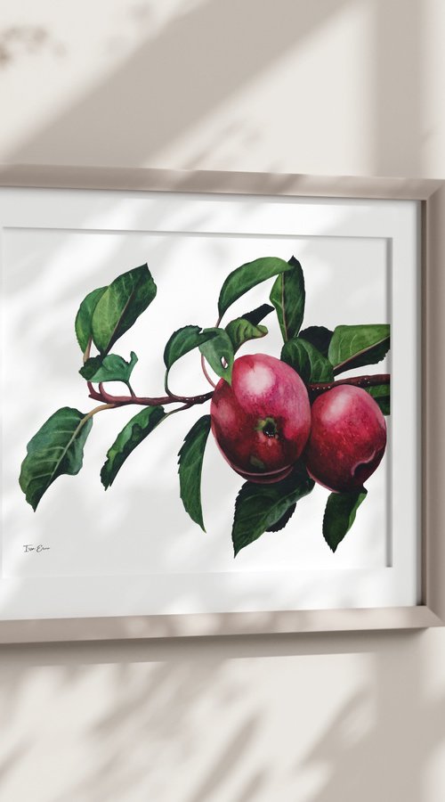 Apple Branch by Irsa Ervin