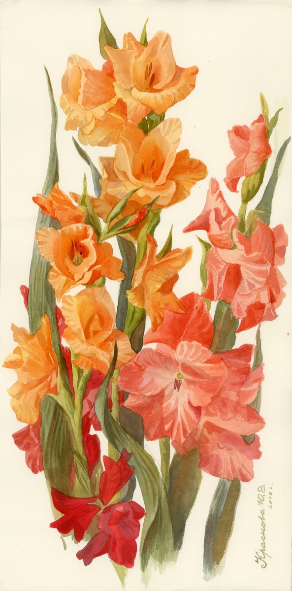 Multicolored gladioli by Yulia Krasnov