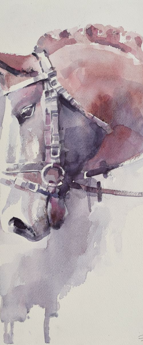Horse head 3 by Goran Žigolić Watercolors
