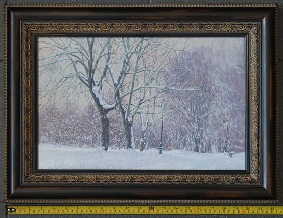 Maple Alley in January