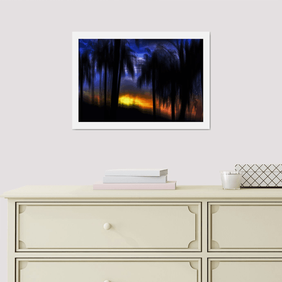 Tropical Palms. Limited Edition 1/50 15x10 inch Photographic Print