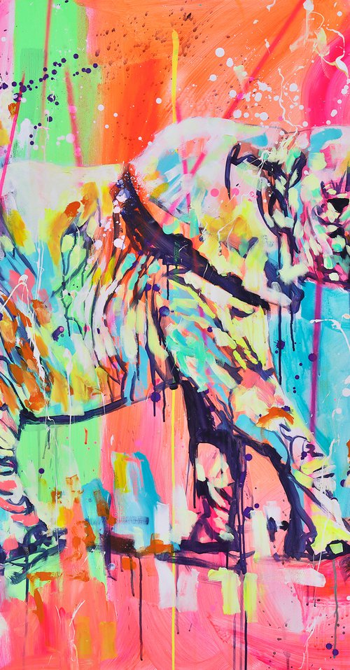 Colors of rainbow by Marta Zawadzka