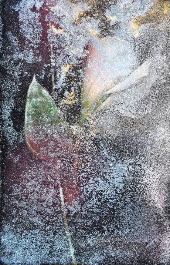 Lisianthus n.1 (fiori per l'anima)