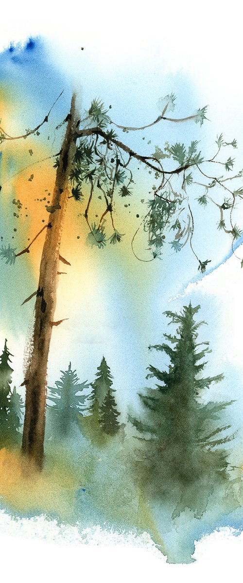 Coniferous forest landscape sketch by Olga Tchefranov (Shefranov)