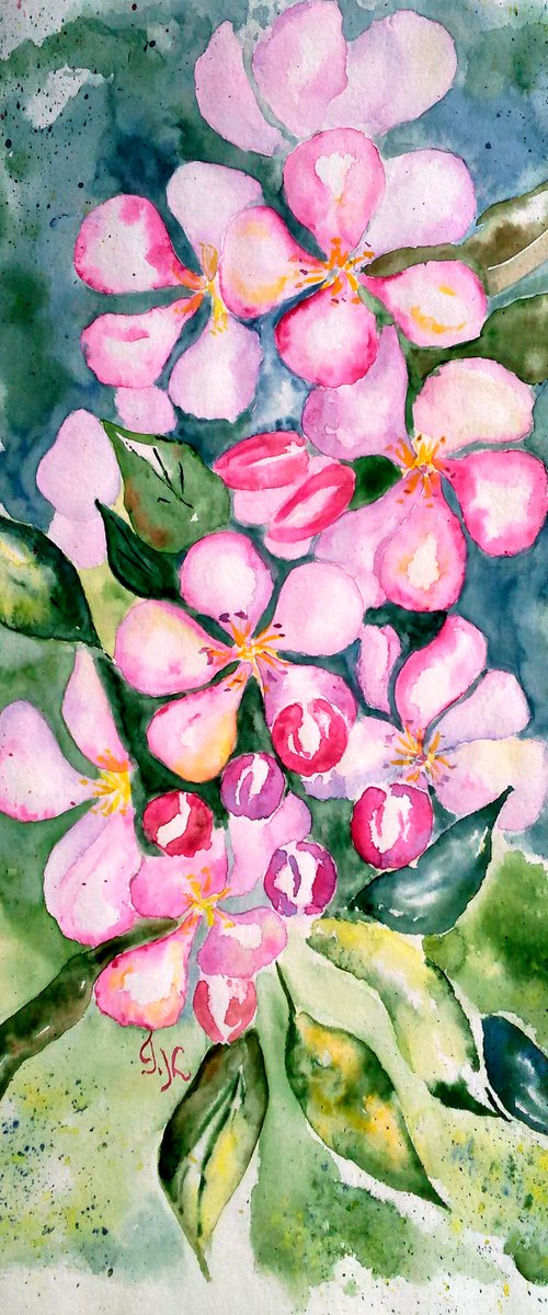 Apple Blossom original watercolr painting by Halyna Kirichenko