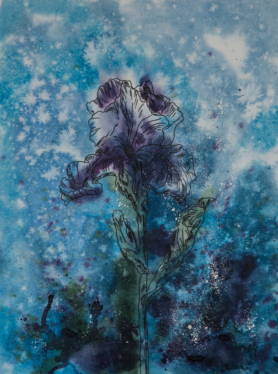 Impressionistic Botanical Watercolour By Aneta Gajos, 12 X 16, Blue Iris, Original Artwork