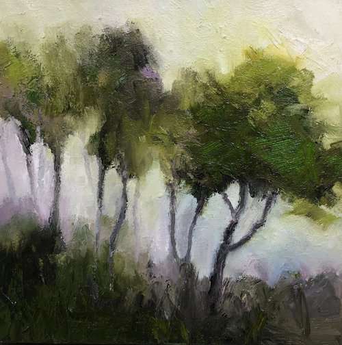 orchard haze by Joanna Farrow