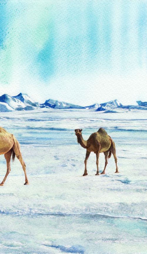 Camels in the Desert Sahara by REME Jr.